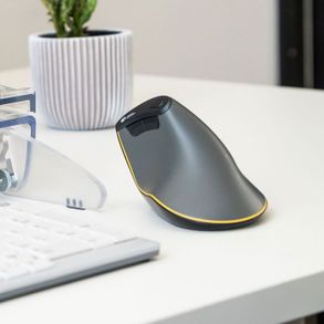 Posturite Bakkerelkhuizen Fastforward Vertical Mouse