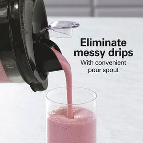 Hamilton Beach 3-in-1 Blender And Food Processor