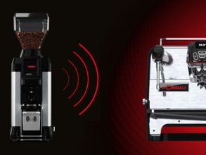 Cimbali G50 Coffee Grinder