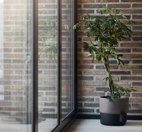 northern Oasis Flowerpot Large