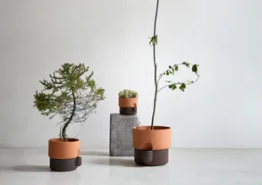 northern Oasis Flowerpot Large