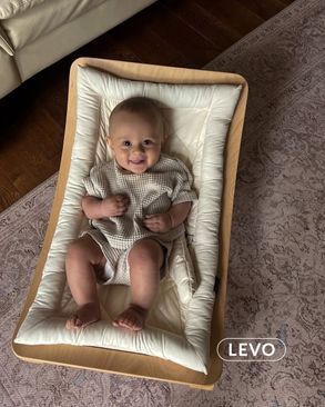 Charlie Crane Seat For Levo Baby Rocker Cushio