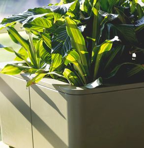 Forms+Surfaces Eulo Planter