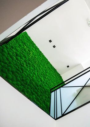 Greenmood Ball Moss Acoustic Green Wall
