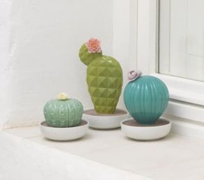 Lladro Ferocactus Cactus Diffuser. Gardens Of Valencia Scent