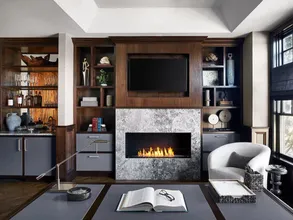Ecosmart Flex 68ss Fireplace