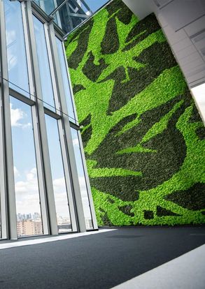 Greenmood Reindeer Moss Acoustic Green Wall.