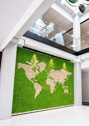 Greenmood Reindeer Moss Acoustic Green Wall.