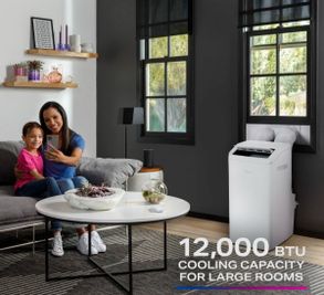 Geappliances GE Profile® 12,000 BTU Dual-Hose, Inverter Heat/Cool Portable Air Conditioner
