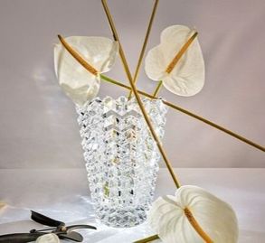 Baccarat Eye Oval Vase S