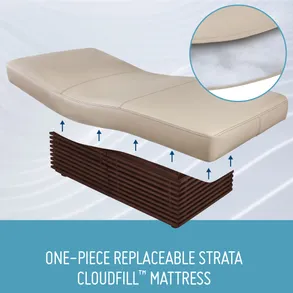 Living Earth Crafts Insignia 2.0 Modern™ Multi-purpose Treatment Table W/Replaceable Mattress