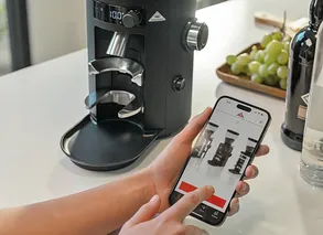 Mahlkoenig X54 Allround Home Grinder