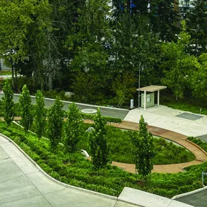 Contech Filterra® Bioretention