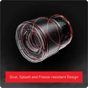 Panasonic Lumix L-mount S 50mm F/1.8 Fixed Focal Length Lens