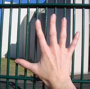 Zaun Dualguard Fencing