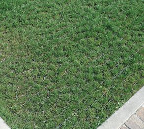 Daliform Pratopratico® Gravel And Lawn Driveway Grid Paver