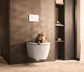 Duravit Sensowash Starck F Compact Shower Toilet, Pro