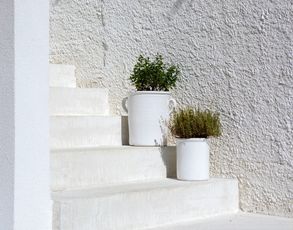 Ideal Work Rasico® Cement Coating