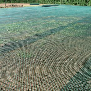 Tenax TR Lawn Reinforcement Net