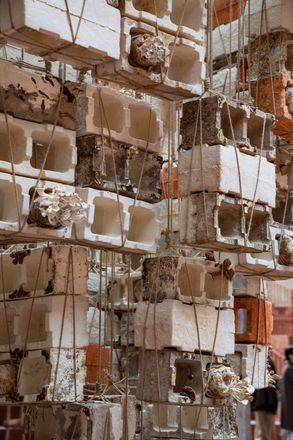 Inverted Architecture Installation