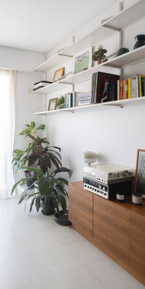 Renovation of Sofia's apartment