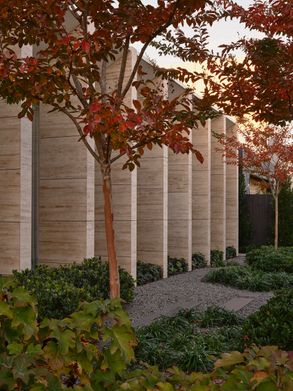 Linea House