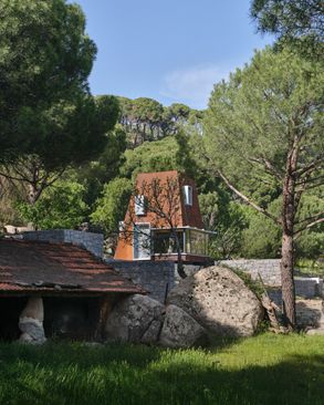 Cabin in Woods