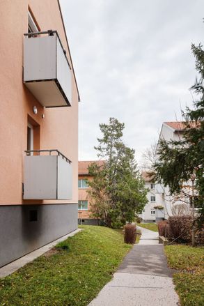 Renovation of 1960s Apartment
