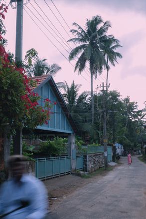 Teal House