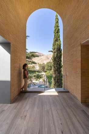 A House Looking to A Cedrus Tree