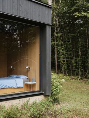 Spinone House