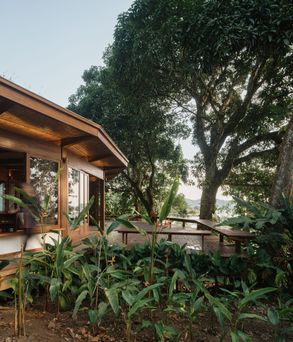 Fig Tree House