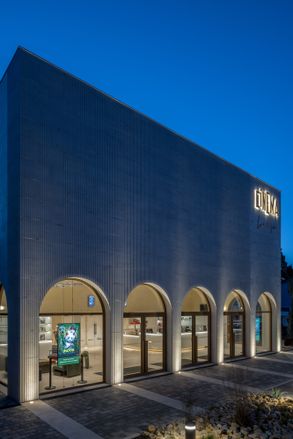 Louis Malle Cinema