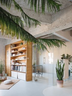 Apartment Conversion Into A Creative Studio