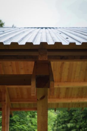 Taller Agropoetico - Foresta Collective