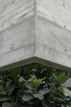 Trama House