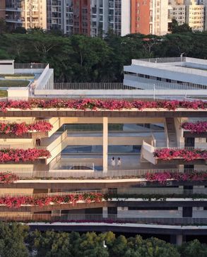 Redevelopment Of Pingshan Elementary School Into A Nine-year Integrated School