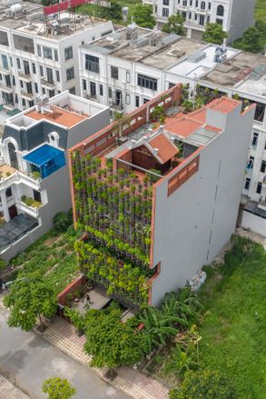 Flying Vegetation