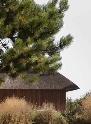 Shoreline Studio