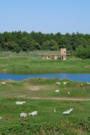 A Discovery Pavilion In The Longyou Wetlands