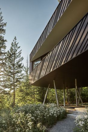 Passive House Forest Retreat