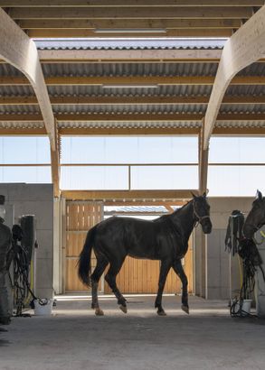 Stable