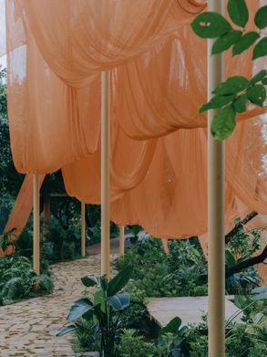 Under The Drying Nets