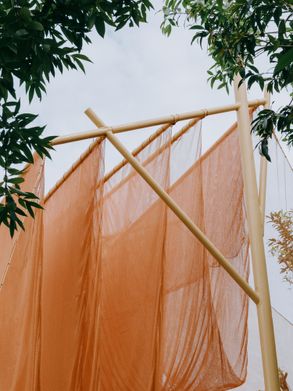 Under The Drying Nets