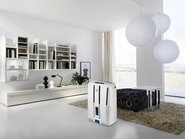 Delonghi Energy Star Dehumidifier