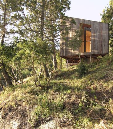 Sauna In The Woods