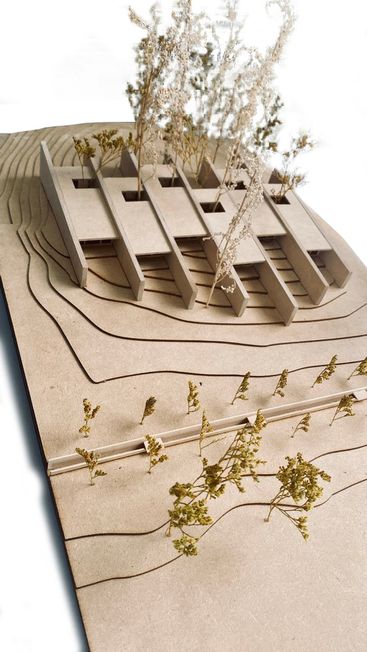 Between Stone Walls Suites