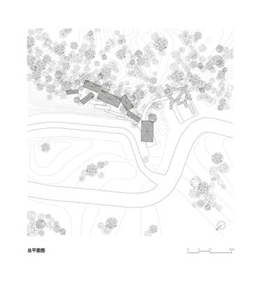 Floating Canopy Grove