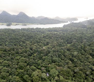 Refuge In The Rainforest - Tour Guide Training Center