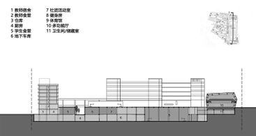 Shenzhen Longhua Foreign Languages School (Fucheng Campus)